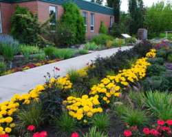 The garden also has a collection of lilies and ros The garden also has a collection of lilies and roses, herbs, and numerous aquatic alongside beautifully planned flowering plants. The beauty of the ga